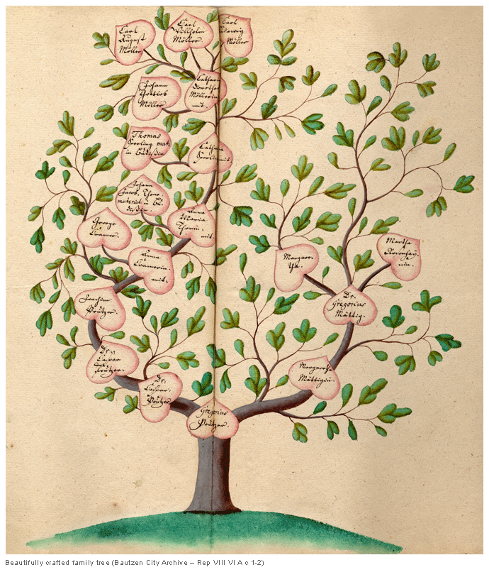 Beautifully crafted family tree (Bautzen City Archive – Rep VIII VI A c 1-2)